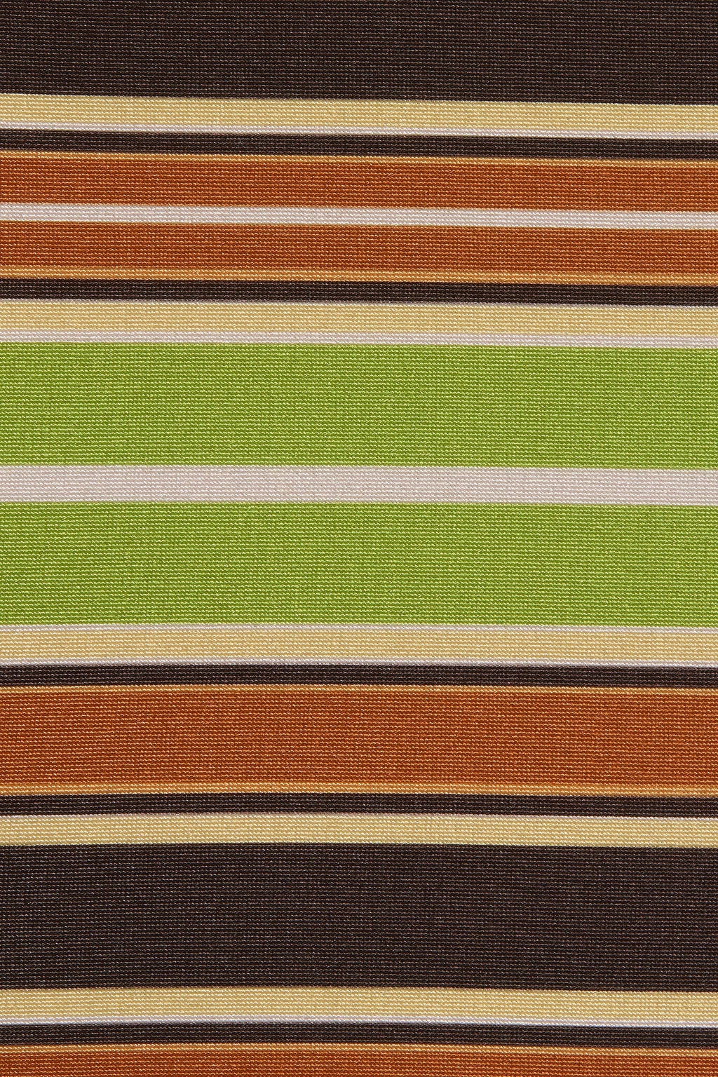 Rocio Short Valencia Stripe