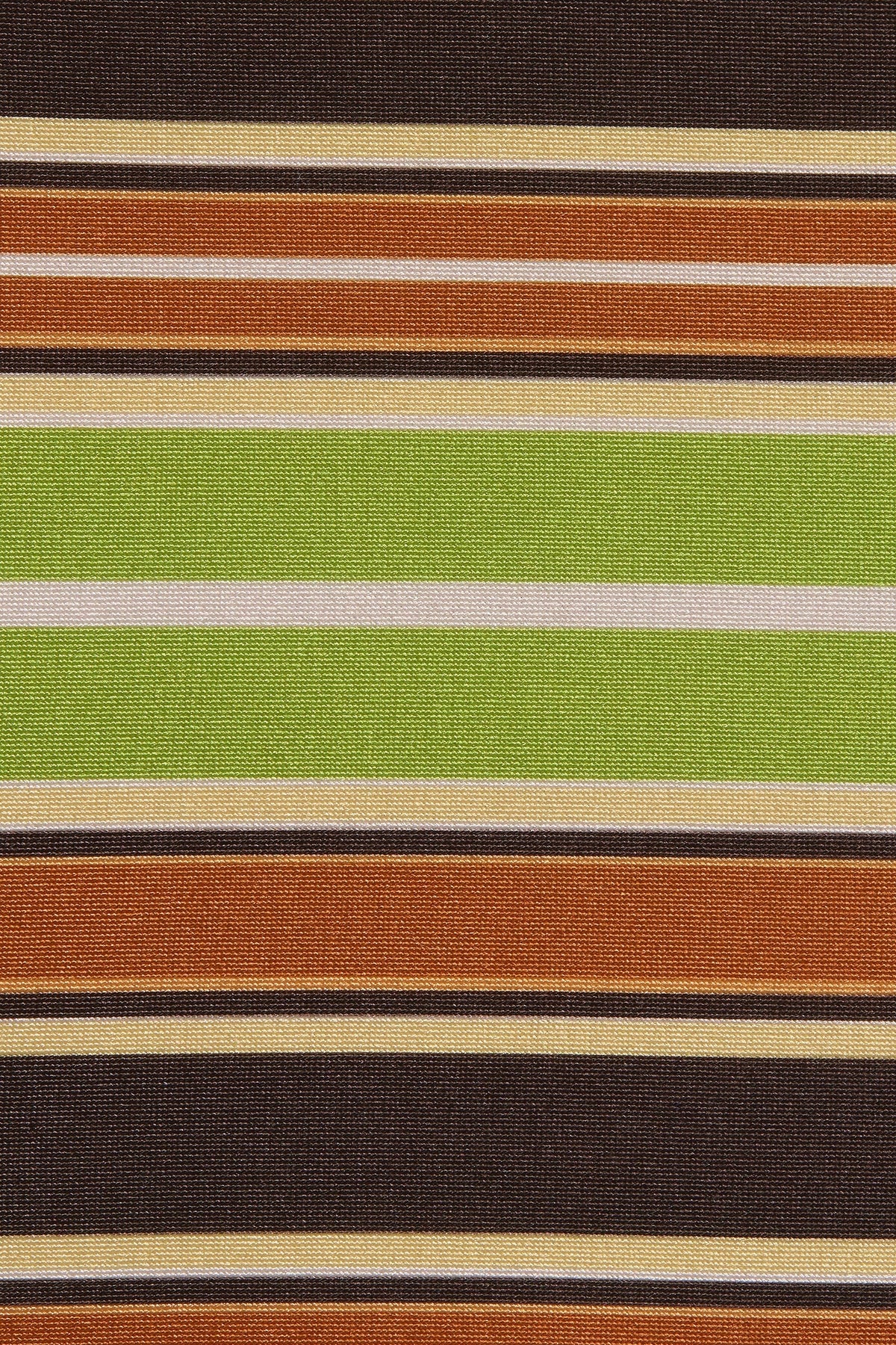 Rocio Short Valencia Stripe