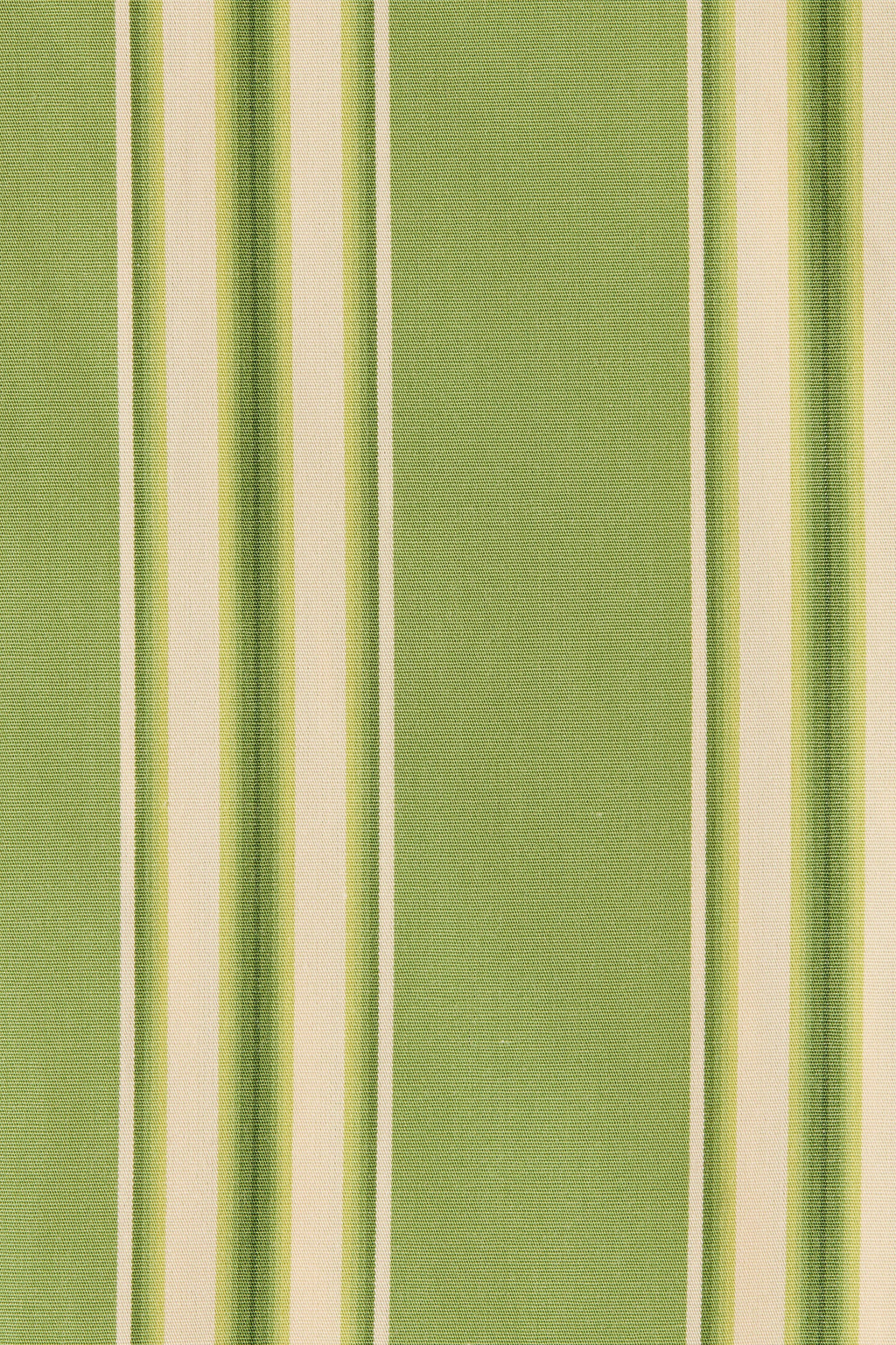 Lonia Short Ombre Stripe Juniper - Final Sale