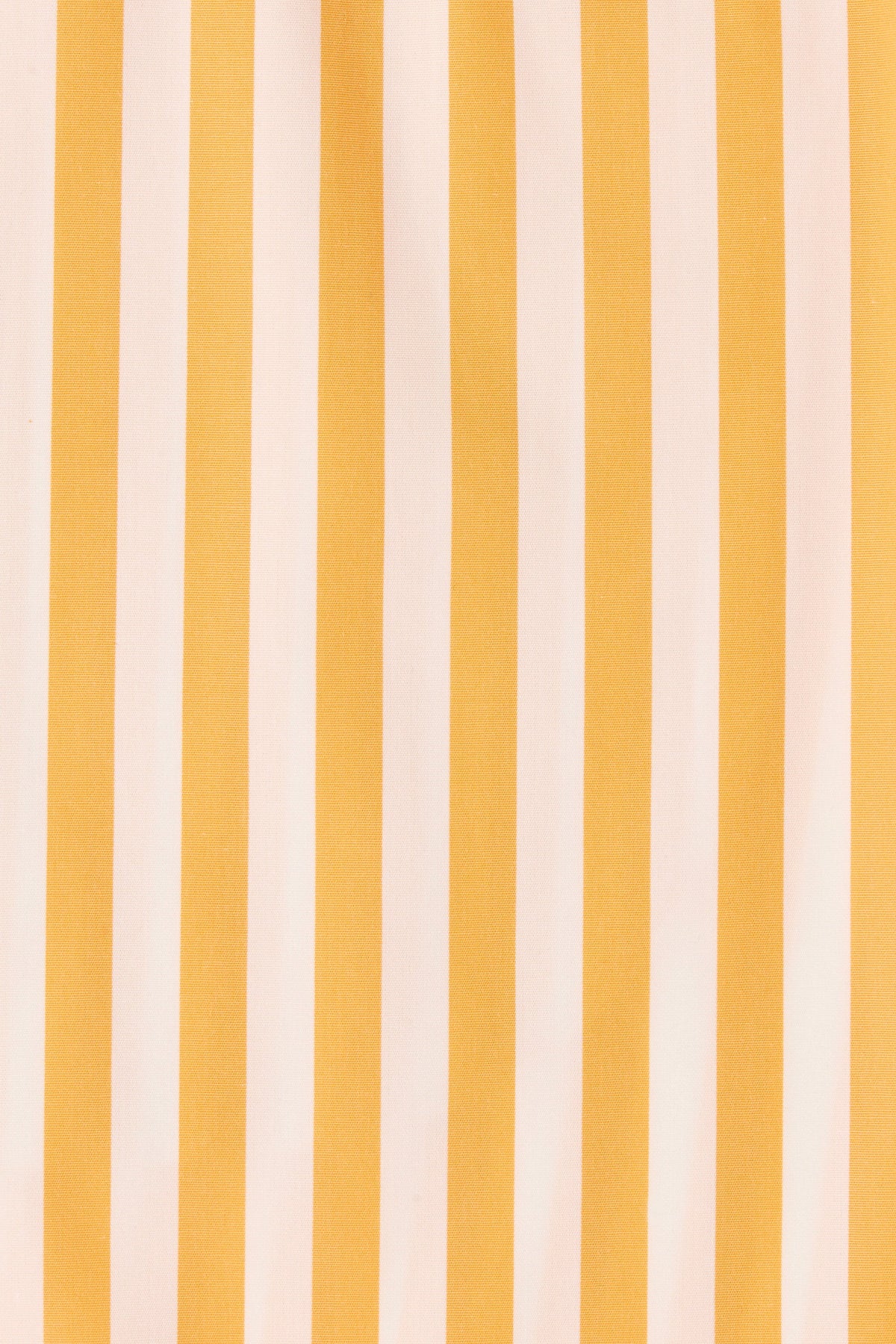 Clemente Short Orozco Stripe Mustard - Final Sale