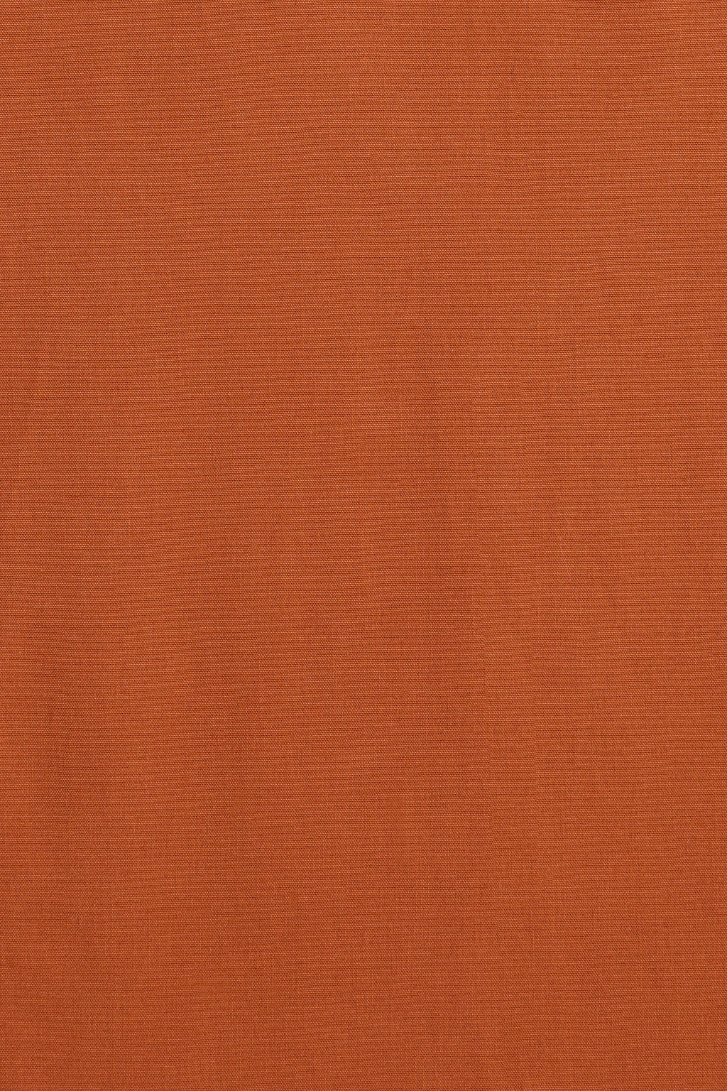 The Cotton Pant Ginger