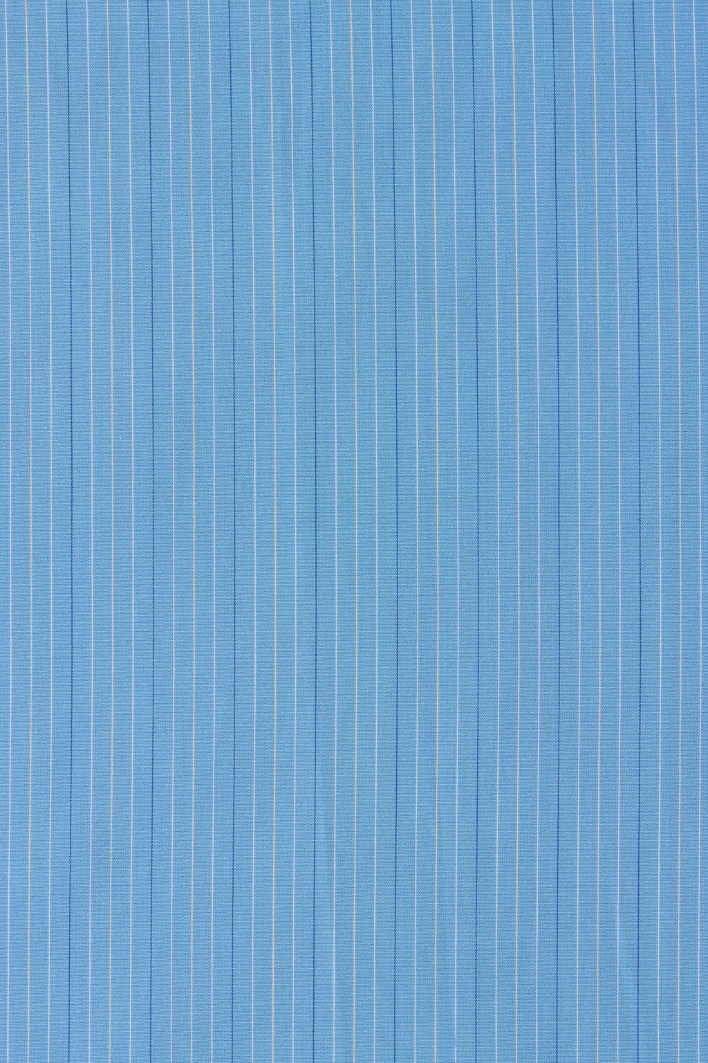 Lonia Short Mico Pinstripe Azul - Final Sale