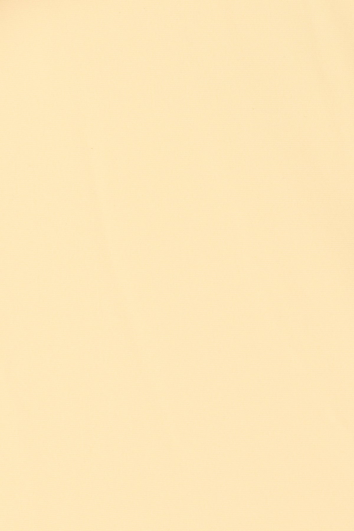 Andez Bikini Bottom Buttermilk - Final Sale